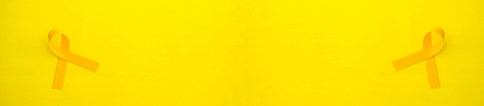 Endometriosis:   Understanding the Journey Together