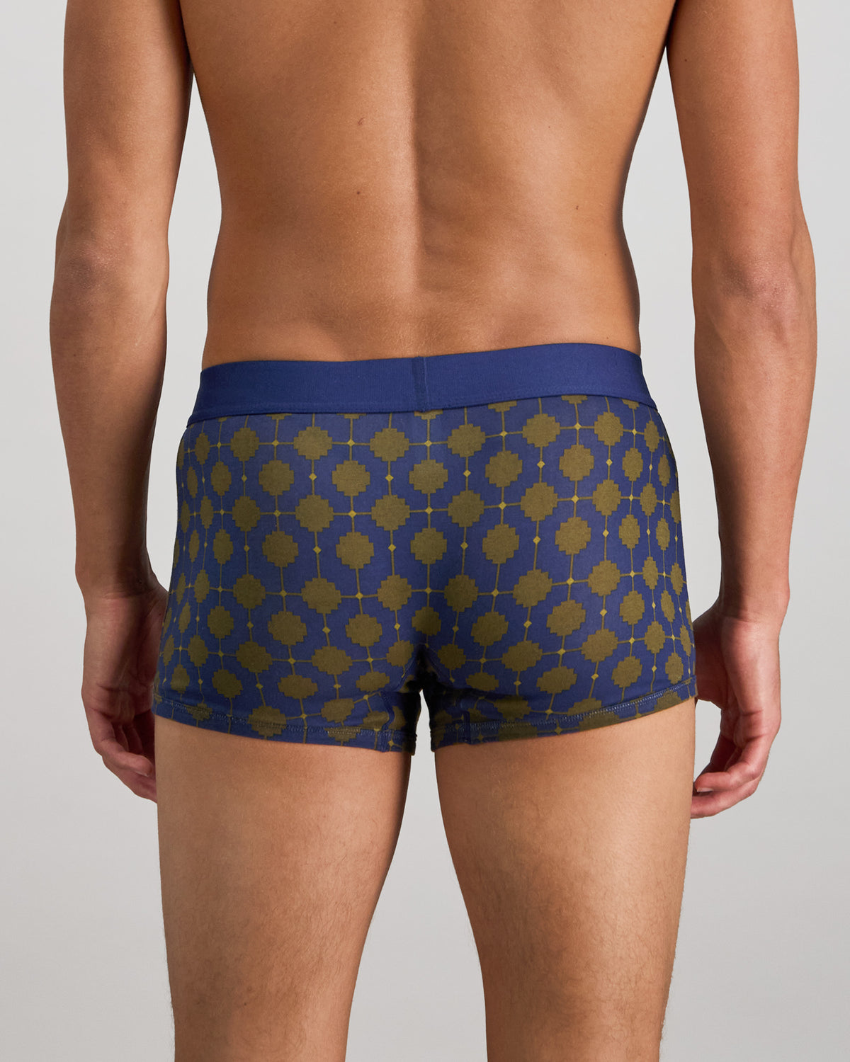 Model wears Retros Print Mens Trunk in IRONCREST PRINT. On body back view