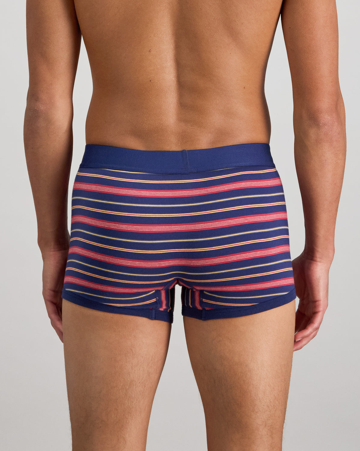 Model wears Bold Stripe Mens Trunk in MEDIEVAL/GARNET STRIPE. On body back view