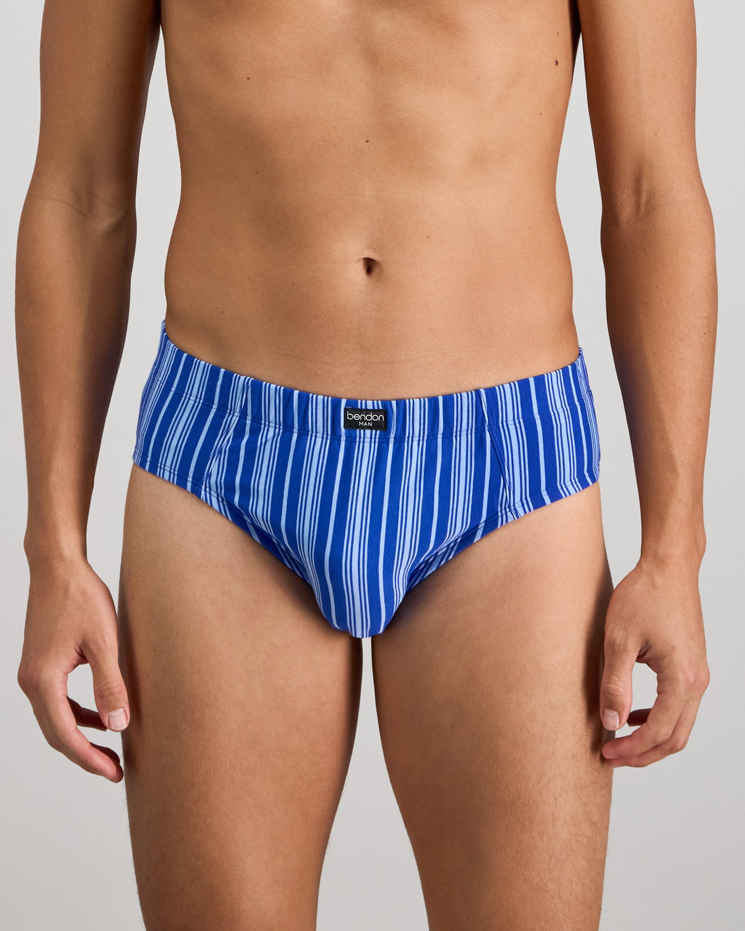 Model wears Cotton Stretch Mens Brief in SURF THE WEB STRIPE. On body front view