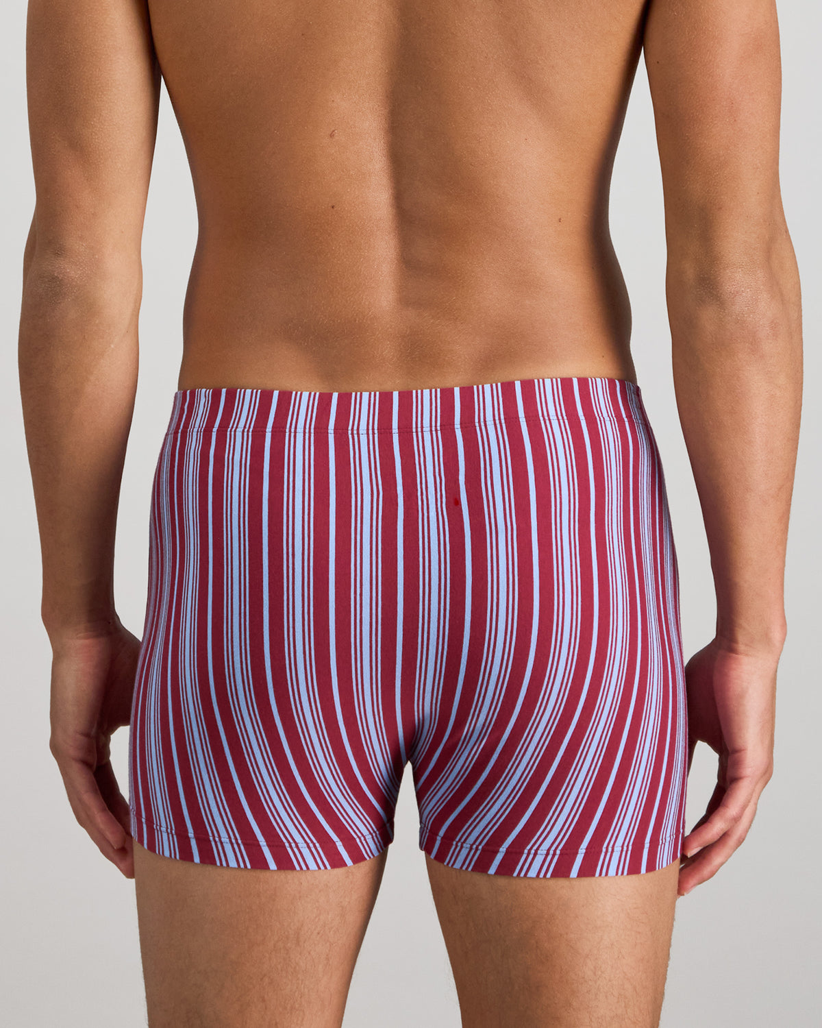 Model wears Cotton Stretch Mens Trunk in TIBETAN RED STRIPE. On body back view