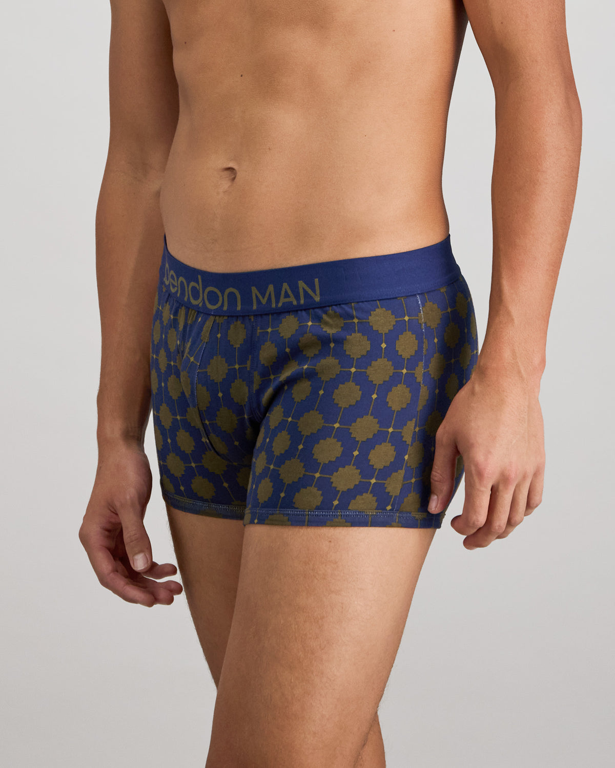Model wears Retros Print Mens Trunk in IRONCREST PRINT. On body side view