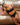 Castaway Contour Long Line Bra in BLACK. Feature shot