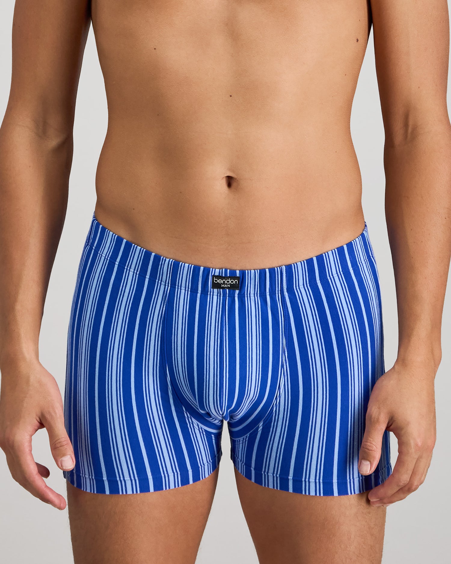Model wears Cotton Stretch Mens Trunk in SURF THE WEB STRIPE. On body front view