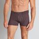 Model wears Cotton Stretch Mens Trunk in BLACK/RHUBARB STRIPE. On body front view