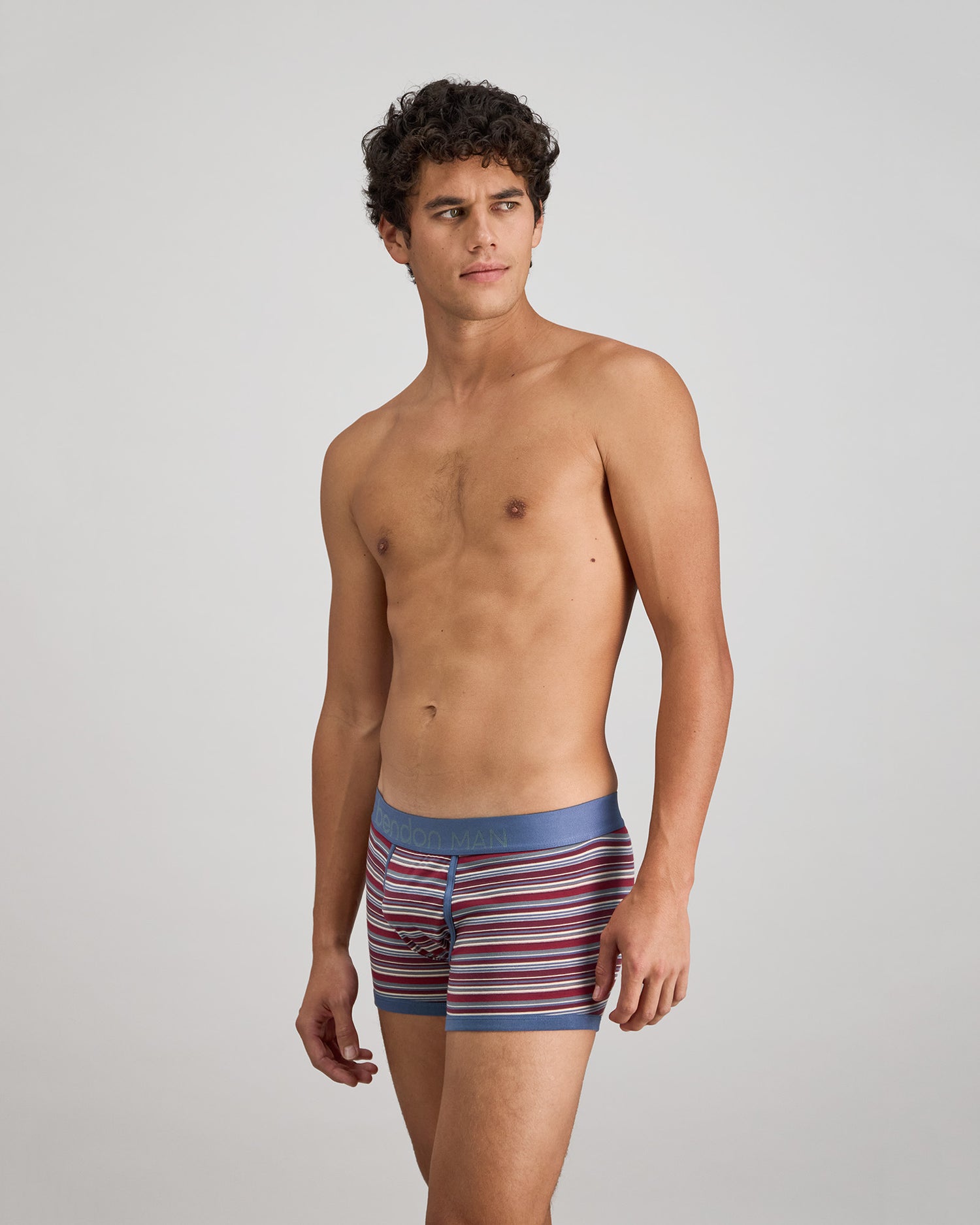Bold Stripe Mens Trunk in INDIGO/FIG STRIPE. Feature shot